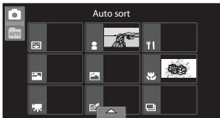 NIKON COOLPIX S80 - Viewing Pictures in Auto Sort Mode - 2