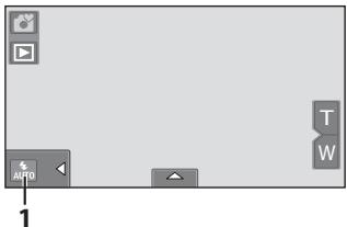 NIKON COOLPIX S80 - Basic Shooting Functions - 3