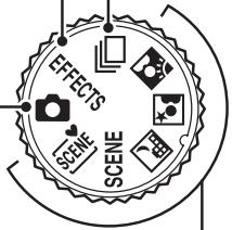 EFFECTS SCENE SCENE