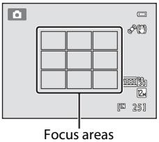 Focus areas