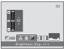 0.0 Z+0.0 Brightness (Exp. +/-)