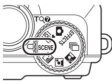 TO SCENE SOLDER
