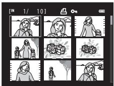 Grid of nine-panel comic strip showing a person in various activities including outdoor scenes, family homes, and nature scenes.