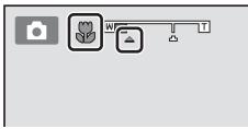 User interface toolbar with camera, flower icon, and control buttons