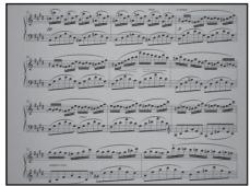 Sheet music with multiple musical notation and tempo markings in Chinese characters