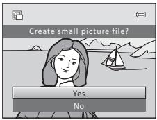 Create small picture file? Yes No