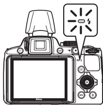 NIKON COOLPIX P510 - Frame the subject and take a picture. - 1