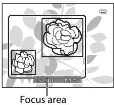 NIKON COOLPIX P510 - Using the Target Finding AF - 1