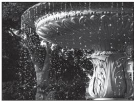 NIKON COOLPIX P510 - Adjusting the Shutter Speed - 1
