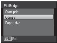 NIKON COOLPIX S225 - Printing Pictures One at a Time - 2