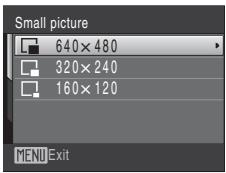 NIKON COOLPIX S225 - Resizing Pictures: Small Picture - 3