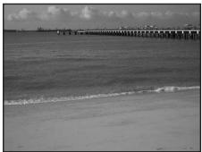 NIKON COOLPIX S225 - Beach/snow - 1