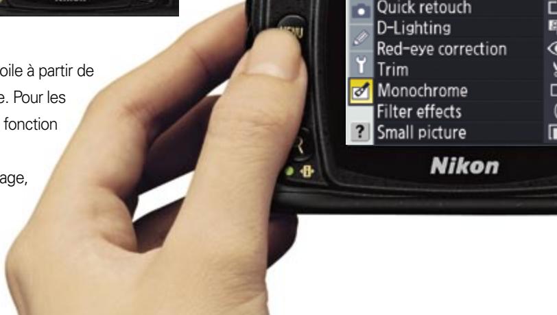 NIKON D60 - Explorez des effets supplémentaires — Les effets de filtre - 2