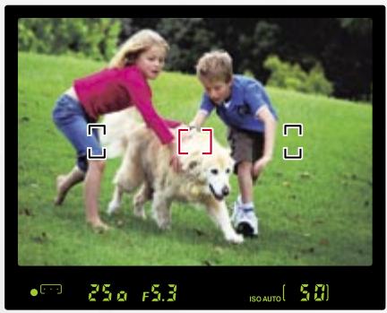 NIKON D60 - une vraie différence - 1