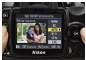 NIKON D60 - Exigez beaucoup plus de vos photos : traitement NEF (RAW) intégré - 1