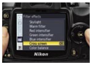 NIKON D60 - Explorez des effets supplémentaires — Les effets de filtre - 1