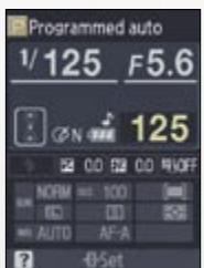NIKON D60 - Options de format d'affichage - 2
