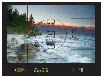 NIKON D70S - Viewfinder - 1
