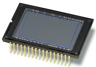 NIKON D70S - Nikon DX Format CCD image sensor - 1