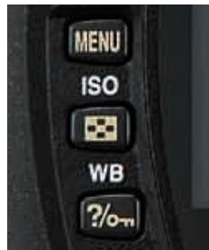 NIKON D70S - Multi selector and Nikon ergonomics provide greater operating ease - 2