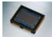 NIKON D5000 - 12,3 millions de pixels de pure magie - 1
