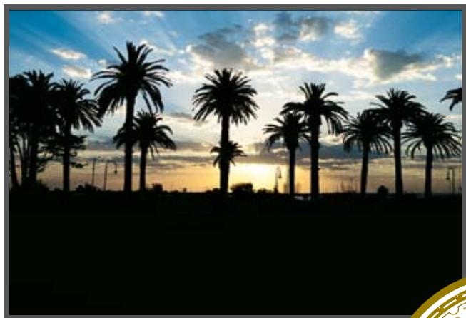NIKON D5000 - modes pour toutes les ambiances - 1