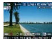 NIKON D5000 - Nouvelles options de visualisation avec Live View - 1