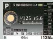 NIKON D5000 - Choix de formats d'affichage des informations - 1