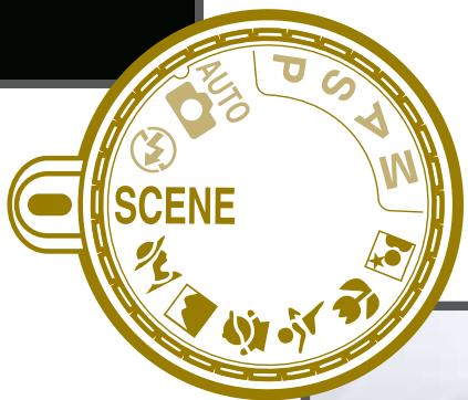 NIKON D5000 - modes pour toutes les ambiances - 21