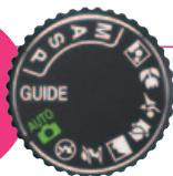 NIKON D3100 - Mode Guide : la meilleure façon d'obtenir les images souhaitées - 1
