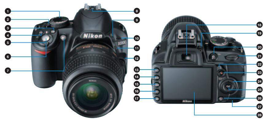 NIKON D3100 - Site gratuit de partage et de stockage d'images - 2