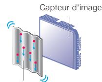 NIKON D3100 - - Double système anti-poussière intégré Nikon - 2