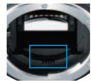 NIKON D3100 - - Double système anti-poussière intégré Nikon - 1