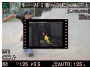 NIKON D3100 - Photographiez - 3