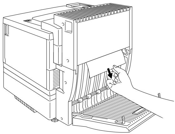 BROTHER HL-34500CN - PAPER JAM IN THE LOWER ASSEMBLY OF THE DUPLEX UNIT - 1