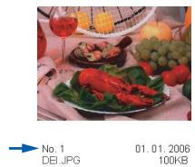 BROTHER DCP-153C - Print Index (Thumbnails) - 1