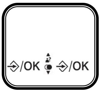 LOGICOM VEGA 250 - 8-1- Choix du format - 1