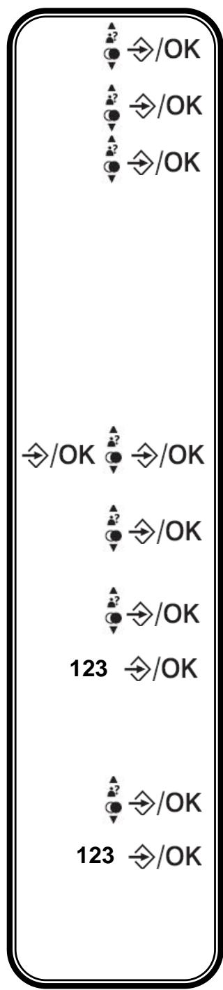 LOGICOM VEGA 250 - Sélectionnez le format d'affichage de la date - 1
