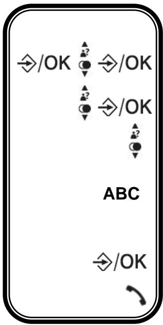 LOGICOM VEGA 250 - Accès direct - 1