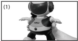 LOGICOM DISCO ROBO - REMARQUES IMPORTANTES - 1