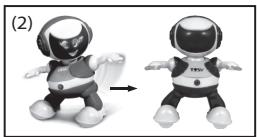 LOGICOM DISCO ROBO - IMPORTANT NOTES - 2