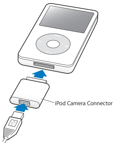 APPLE IPOD 5TH GENERATION - Importing Photos Directly From a Camera or Photo Card Reader to iPod - 2
