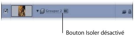 APPLE MOTION 3 - Utilisation de réplicateurs 3D - 7