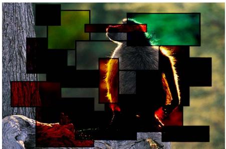 APPLE MOTION 3 - Obscurcir - 5