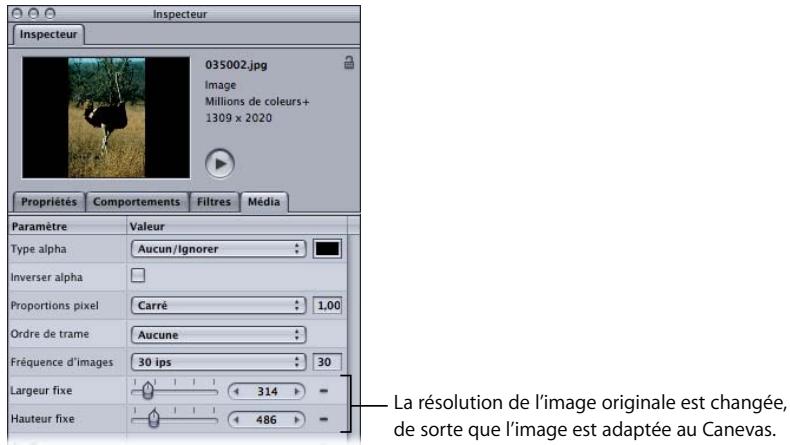 APPLE MOTION 3 - Utilisation d'images fixes à haute résolution - 6
