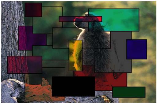 APPLE MOTION 3 - Obscurcir - 1