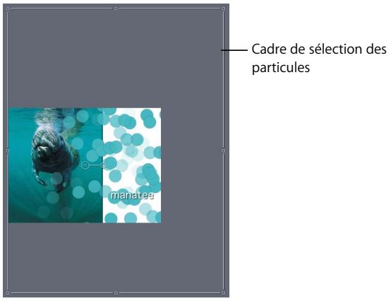APPLE MOTION 3 - Définition de la taille d'un groupe - 1
