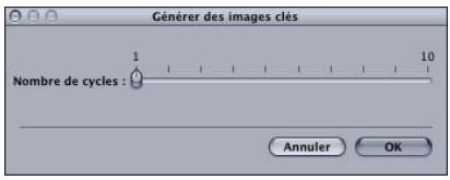 APPLE MOTION 3 - Génération d'images clés - 4