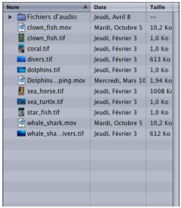 APPLE MOTION 3 - Commandes de personnalisation du Navigateur - 3