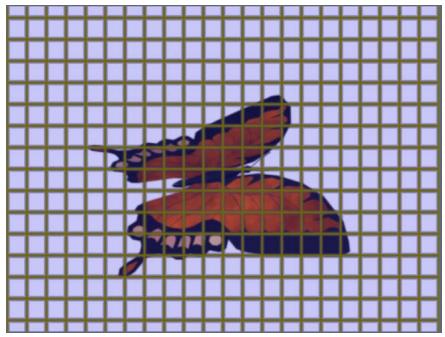 APPLE MOTION 3 - Grille - 2